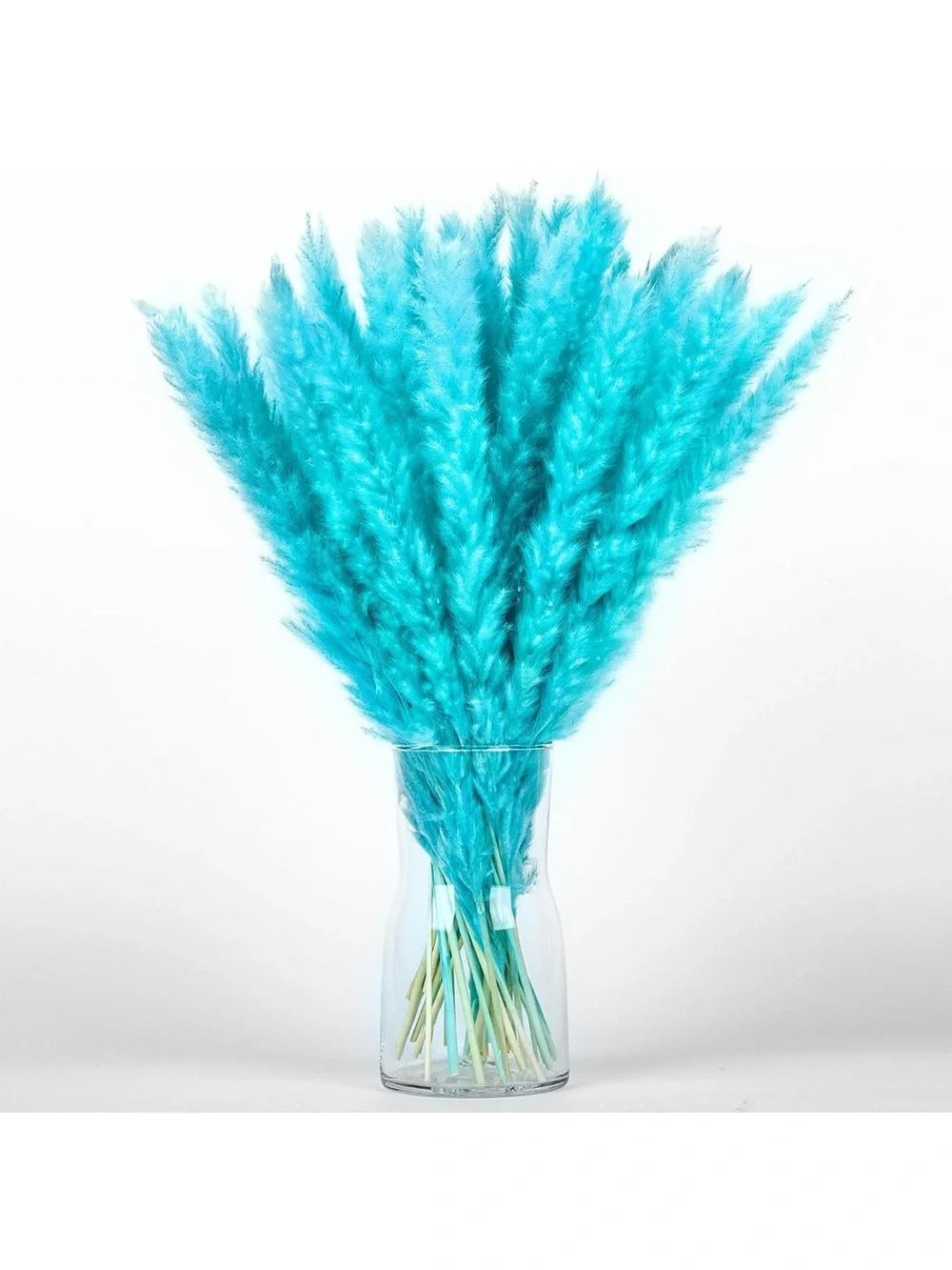 Colorful Dried Pampas Grass Stems – Multicolor Home Accent